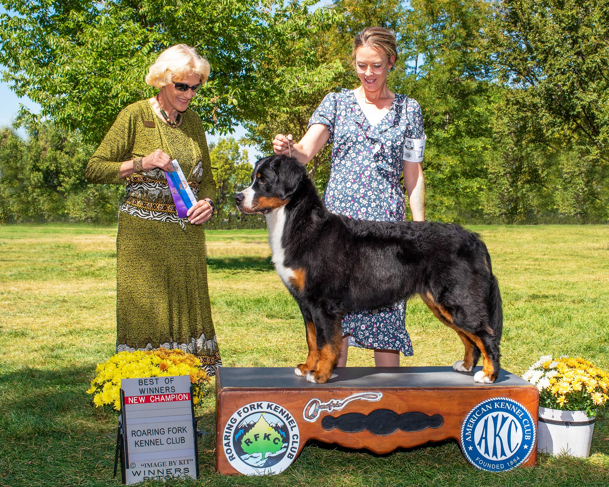 Maze stacked outdoors for her New Champion photograph with her handler and judge