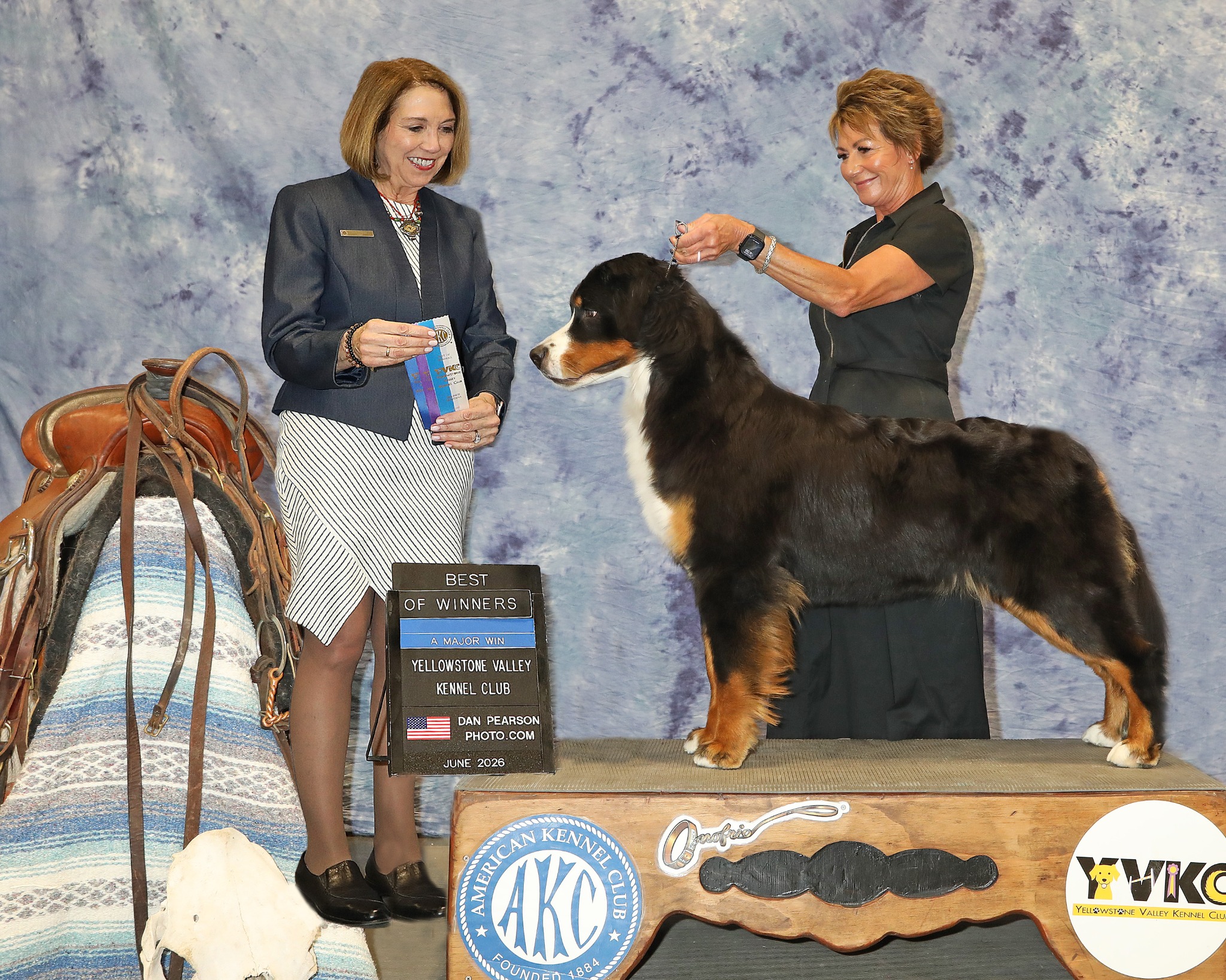 Sameen stacked for her Winners Bitch first major photograph with her handler and judge
