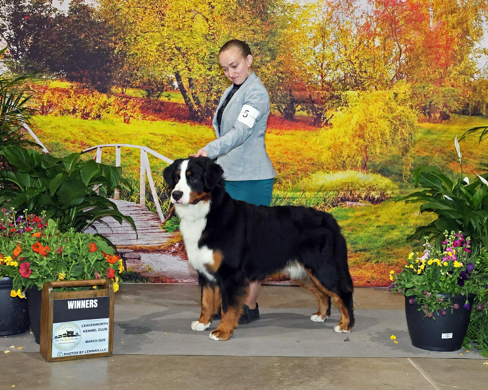 Asher posed for his Winners Dog show photograph