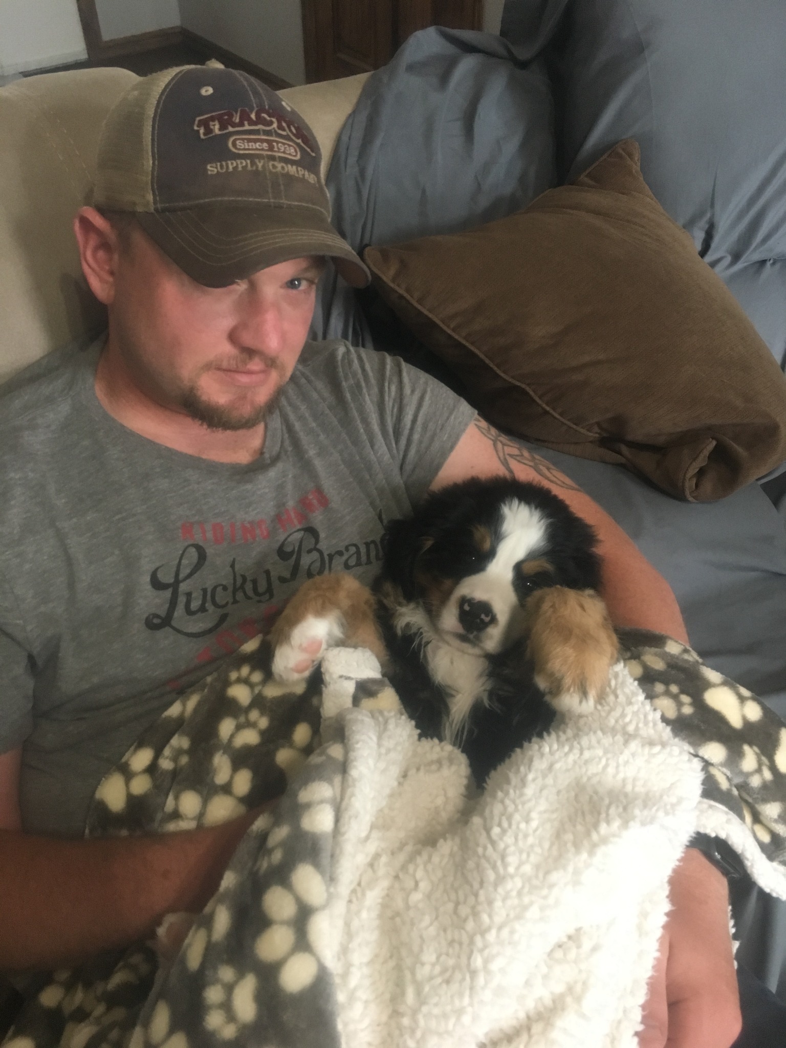 Zara at 8 weeks cuddled with Duke on the couch