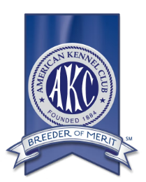 American Kennel Club Breeder of Merit badge